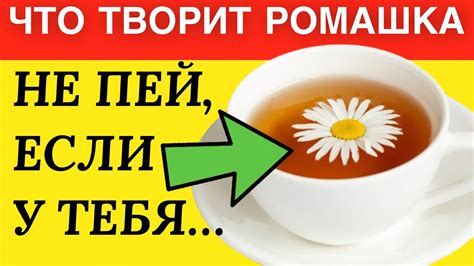 как употреблять ромашку